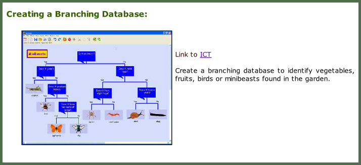 Creating a Branching Database:     Link to ICT   Create a branching database to identify vegetables, fruits, birds or minibeasts found in the garden.