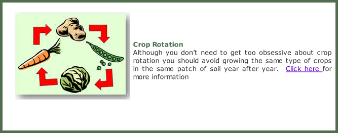 Crop Rotation Although you don’t need to get too obsessive about crop rotation you should avoid growing the same type of crops in the same patch of soil year after year.  Click here for more information
