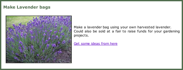 Make Lavender bags     Make a lavender bag using your own harvested lavender. Could also be sold at a fair to raise funds for your gardening projects.  Get some ideas from here