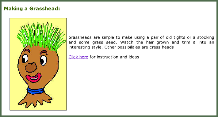 Making a Grasshead:      Grassheads are simple to make using a pair of old tights or a stocking and some grass seed. Watch the hair grown and trim it into an interesting style. Other possibilities are cress heads  Click here for instruction and ideas