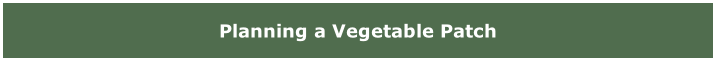 Planning a Vegetable Patch