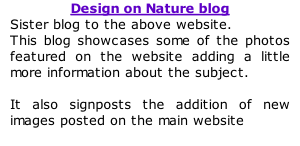 Design on Nature blog Sister blog to the above website. This blog showcases some of the photos featured on the website adding a little more information about the subject.   It also signposts the addition of new images posted on the main website