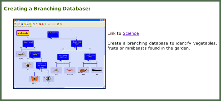 Creating a Branching Database:     Link to Science  Create a branching database to identify vegetables, fruits or minibeasts found in the garden.